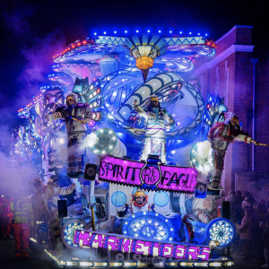 Carnival Market 21st November